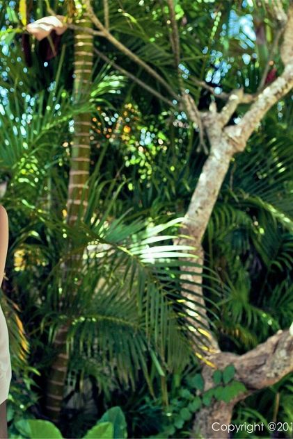 新香蕉黄色视频