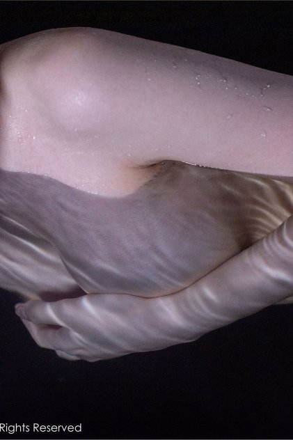 国产全国探花在线视频两闺蜜