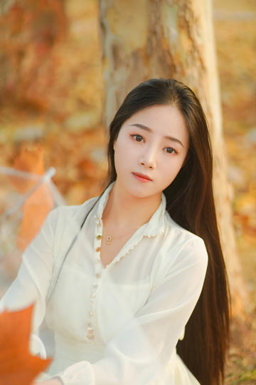 赤焰战场（国语版）